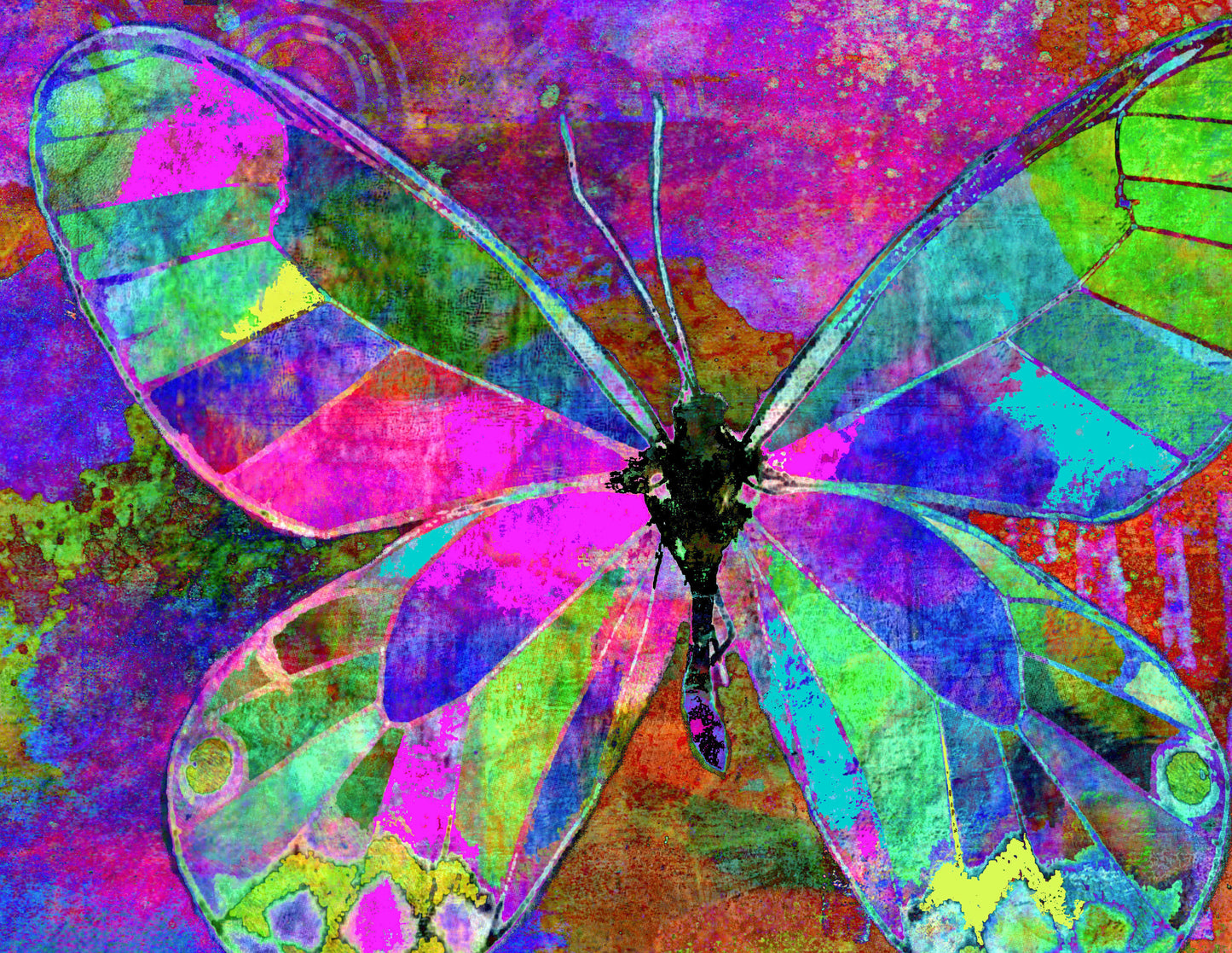 Garden Variety 5 x 7 card set of 4